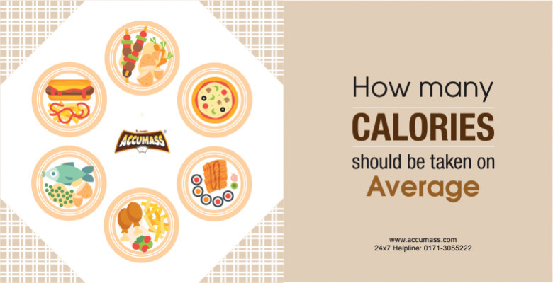 how-many-calories-should-be-taken-on-average