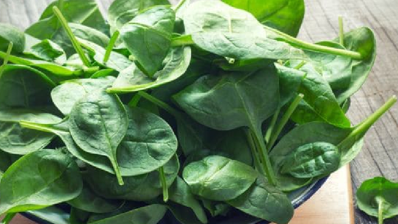Add-Spinach-in-your-daily-diet-to-Build-Strong-Muscles